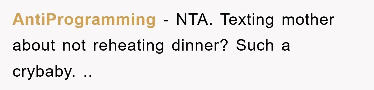 AntiProgramming − NTA. Texting mother about not reheating dinner? Such a crybaby. ..