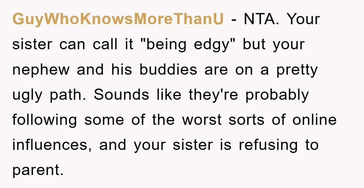 GuyWhoKnowsMoreThanU − NTA. Your sister can call it "being edgy" but your nephew and his buddies are on a pretty ugly path. Sounds like they're probably following some of the...