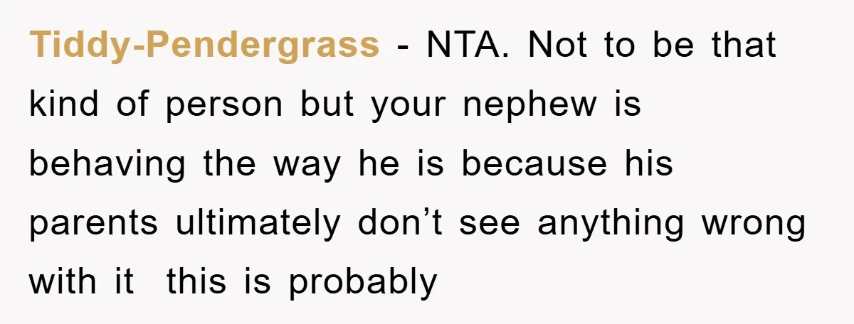 Tiddy-Pendergrass − NTA. Not to be that kind of person but your nephew is behaving the way he is because his parents ultimately don’t see anything wrong with it this...