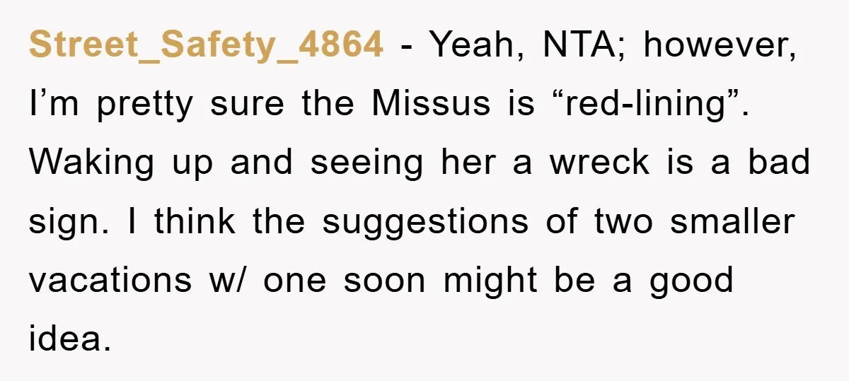 Street_Safety_4864 − Yeah, NTA; however, I’m pretty sure the Missus is “red-lining”. Waking up and seeing her a wreck is a bad sign. I think the suggestions of two smaller...