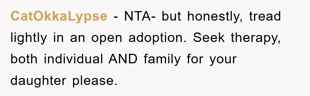 CatOkkaLypse − NTA- but honestly, tread lightly in an open adoption. Seek therapy, both individual AND family for your daughter please.
