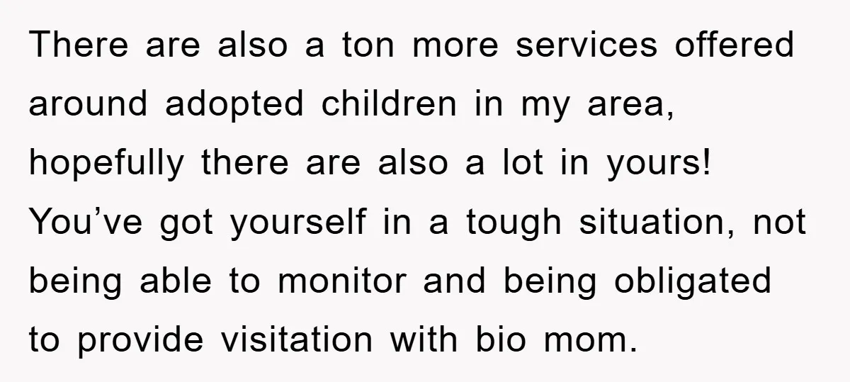 There are also a ton more services offered around adopted children in my area, hopefully there are also a lot in yours! You’ve got yourself in a tough situation, not...