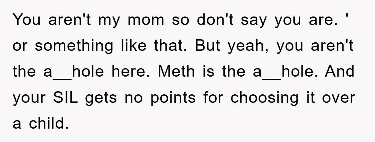 You aren't my mom so don't say you are. ' or something like that. But yeah, you aren't the a__hole here. Meth is the a__hole. And your SIL gets no...