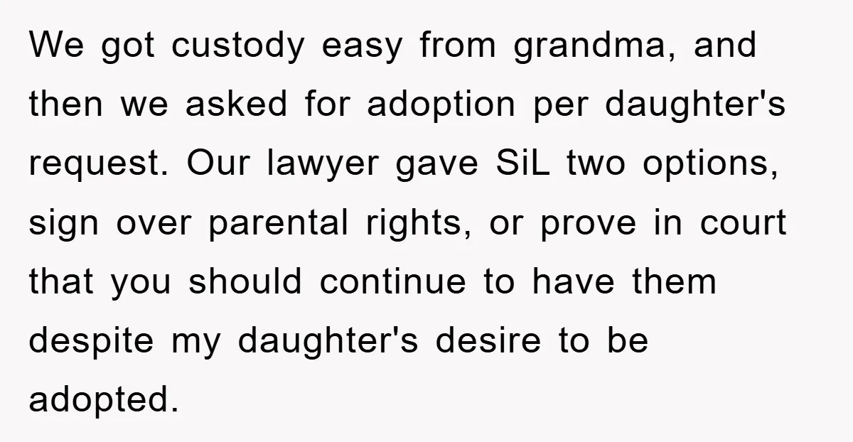 We got custody easy from grandma, and then we asked for adoption per daughter's request. Our lawyer gave SiL two options, sign over parental rights, or prove in court that...
