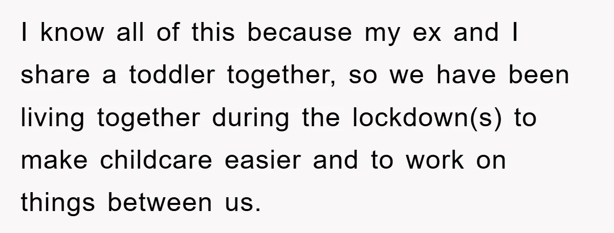 I know all of this because my ex and I share a toddler together, so we have been living together during the lockdown(s) to make childcare easier and to work...