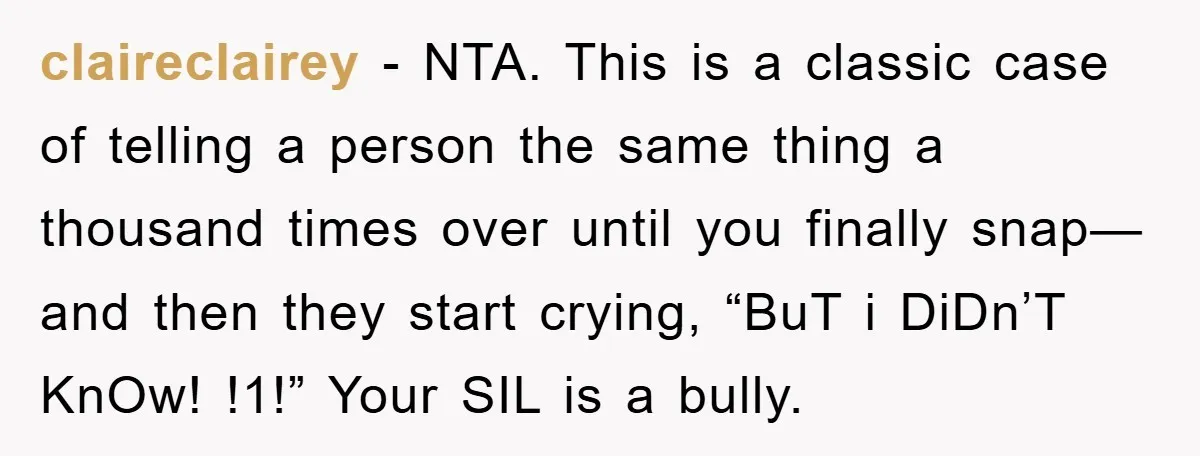 claireclairey − NTA. This is a classic case of telling a person the same thing a thousand times over until you finally snap—and then they start crying, “BuT i DiDn’T...