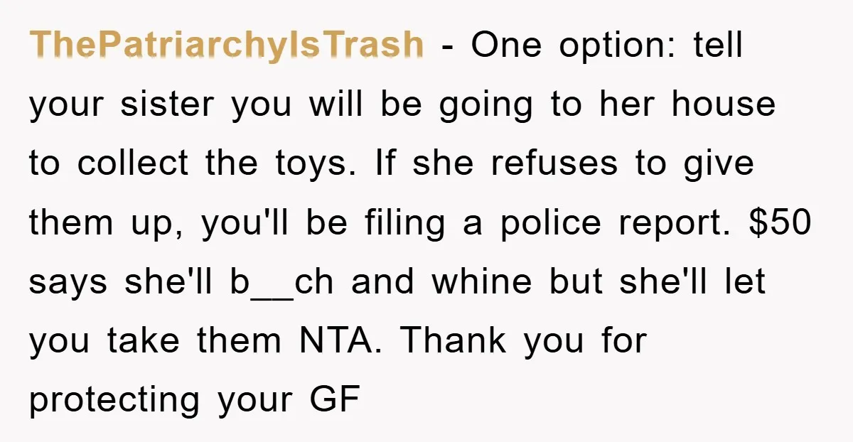 ThePatriarchyIsTrash − One option: tell your sister you will be going to her house to collect the toys. If she refuses to give them up, you'll be filing a police...