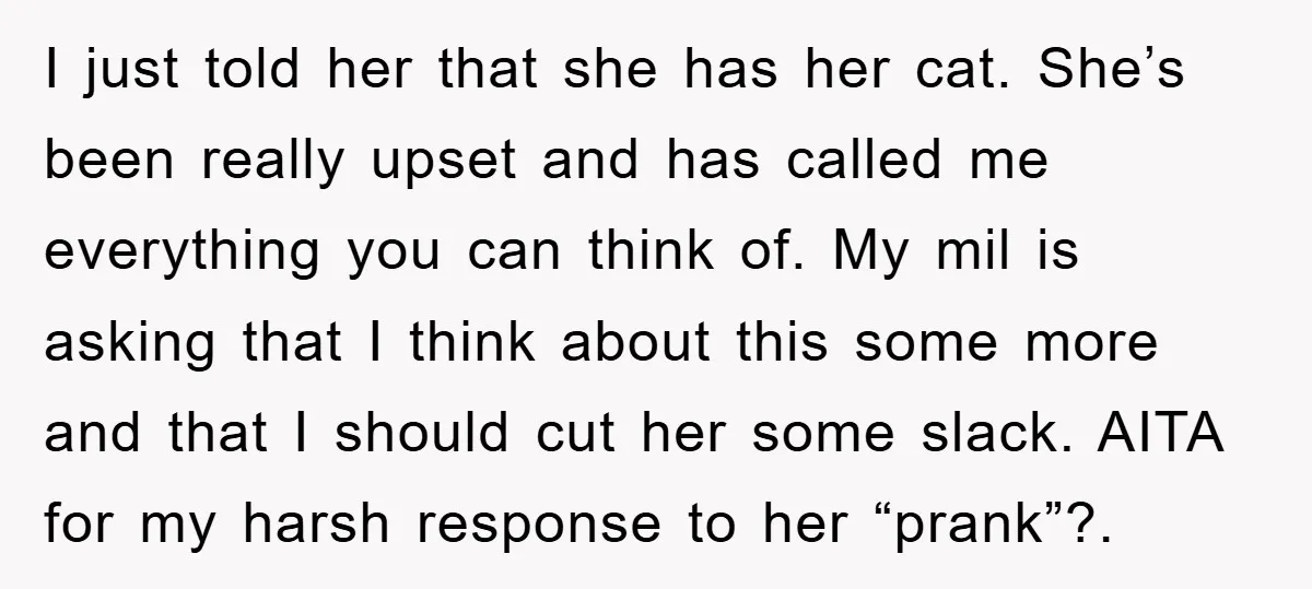 I just told her that she has her cat. She’s been really upset and has called me everything you can think of. My mil is asking that I think about...
