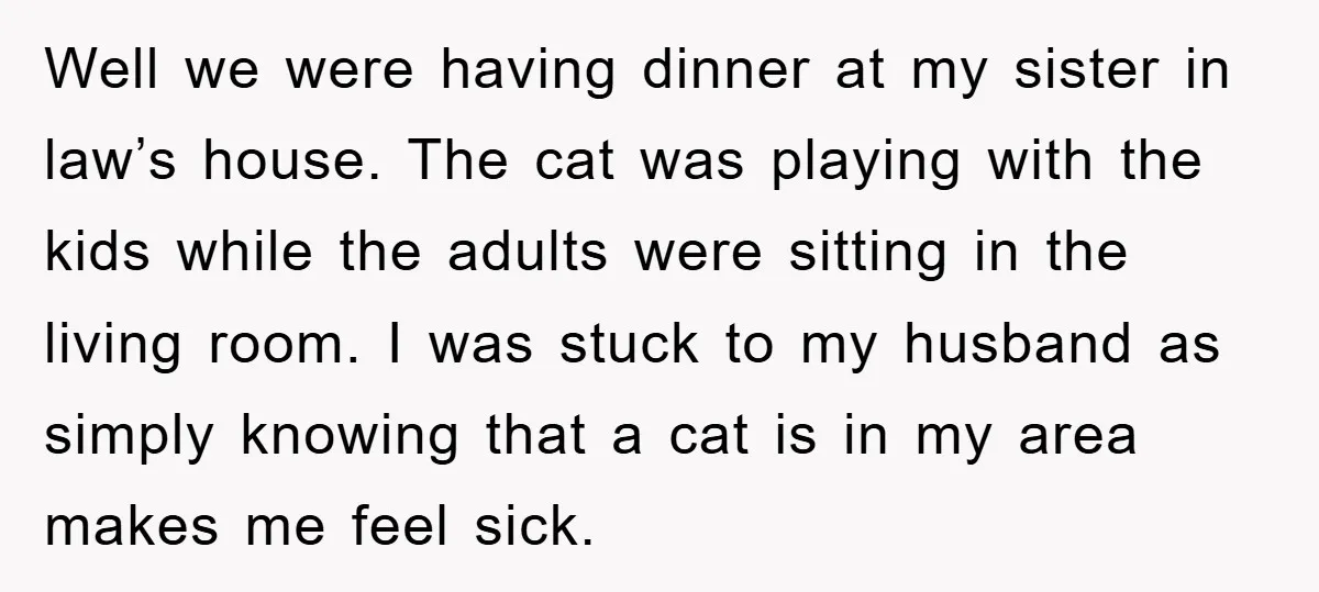 Well we were having dinner at my sister in law’s house. The cat was playing with the kids while the adults were sitting in the living room. I was stuck...