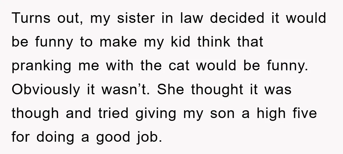 Turns out, my sister in law decided it would be funny to make my kid think that pranking me with the cat would be funny. Obviously it wasn’t. She thought...