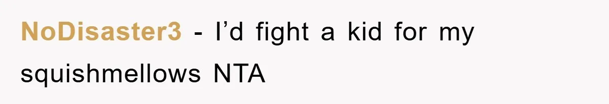 NoDisaster3 − I’d fight a kid for my squishmellows NTA