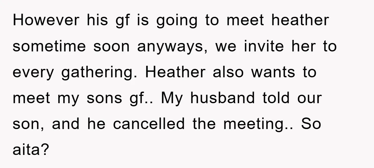 However his gf is going to meet heather sometime soon anyways, we invite her to every gathering. Heather also wants to meet my sons gf.. My husband told our son,...