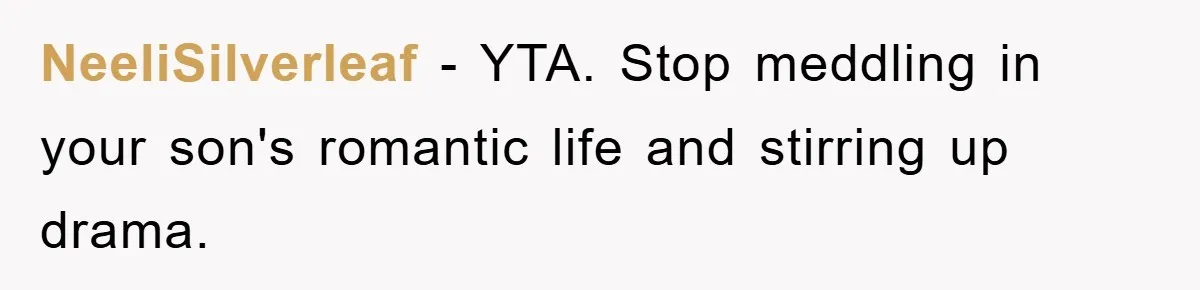 NeeliSilverleaf − YTA. Stop meddling in your son's romantic life and stirring up drama.