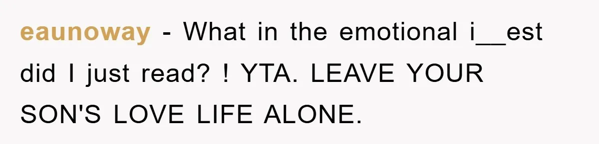 eaunoway − What in the emotional i__est did I just read? ! YTA. LEAVE YOUR SON'S LOVE LIFE ALONE.