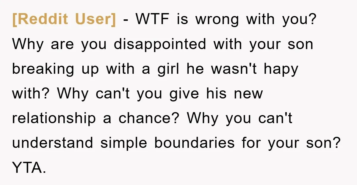 [Reddit User] − WTF is wrong with you? Why are you disappointed with your son breaking up with a girl he wasn't hapy with? Why can't you give his new...