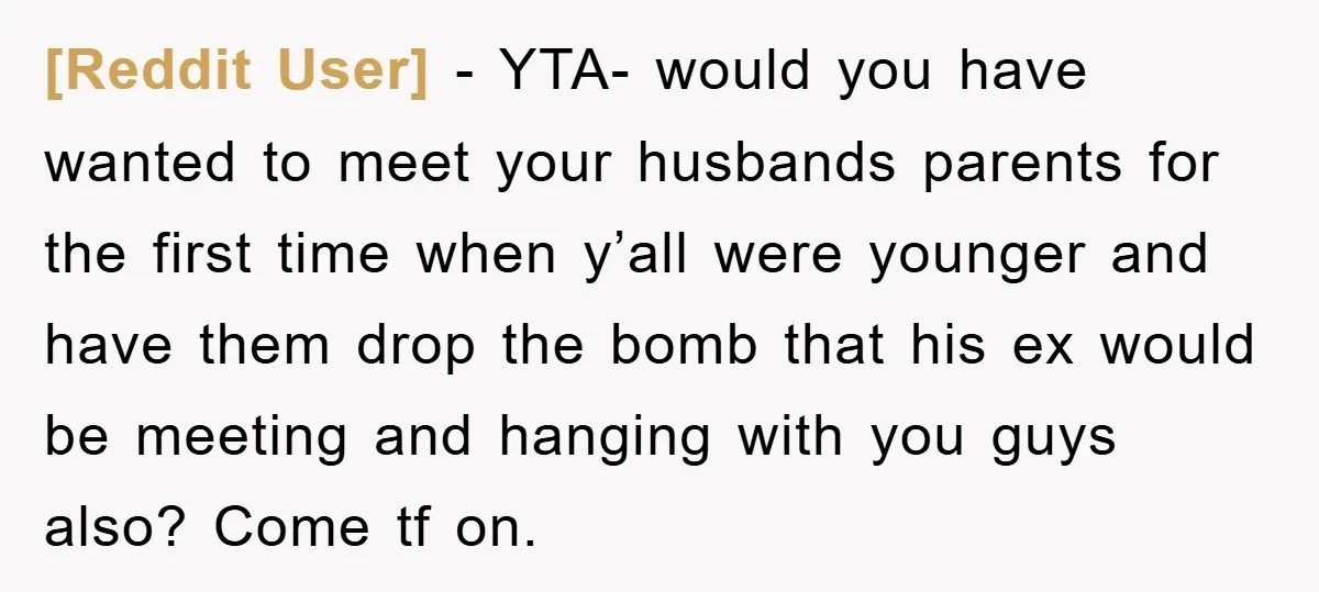[Reddit User] − YTA- would you have wanted to meet your husbands parents for the first time when y’all were younger and have them drop the bomb that his ex...