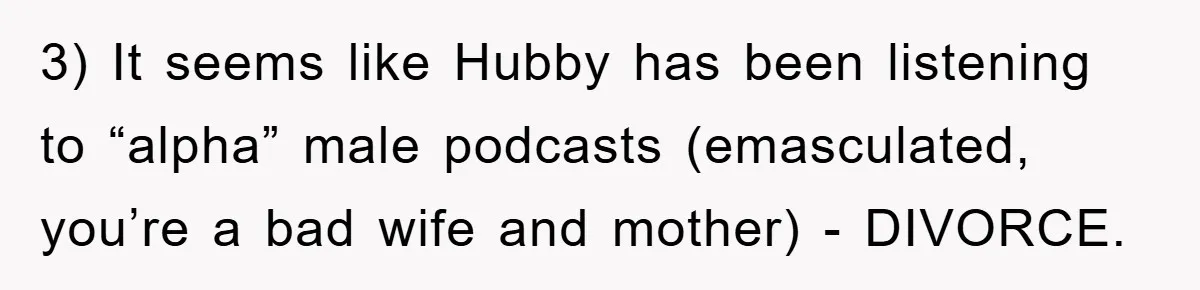 3) It seems like Hubby has been listening to “alpha” male podcasts (emasculated, you’re a bad wife and mother) - DIVORCE.