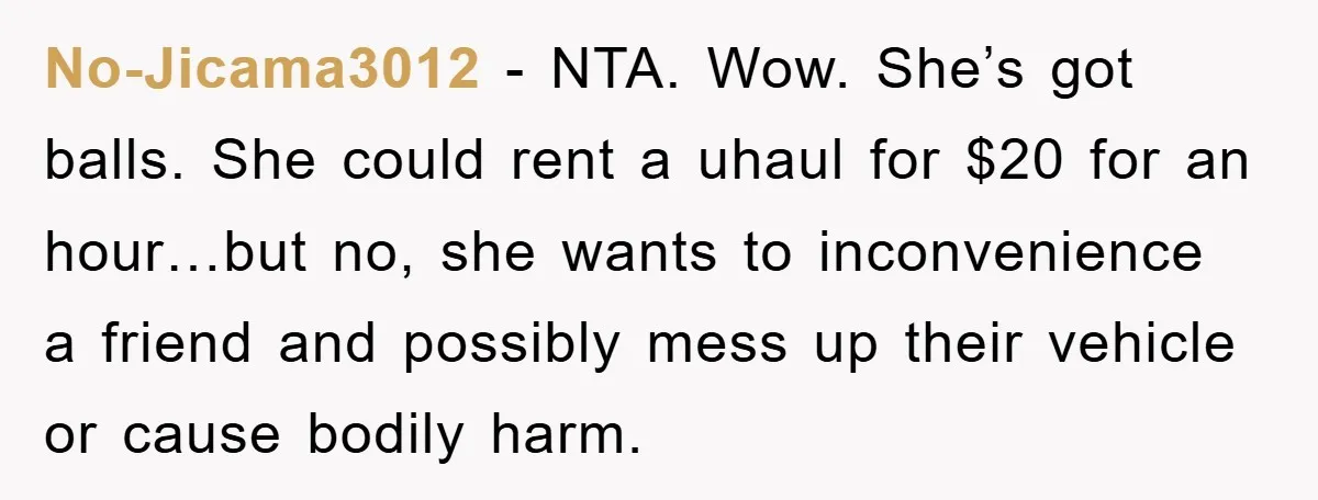 No-Jicama3012 − NTA. Wow. She’s got balls. She could rent a uhaul for $20 for an hour…but no, she wants to inconvenience a friend and possibly mess up their vehicle...