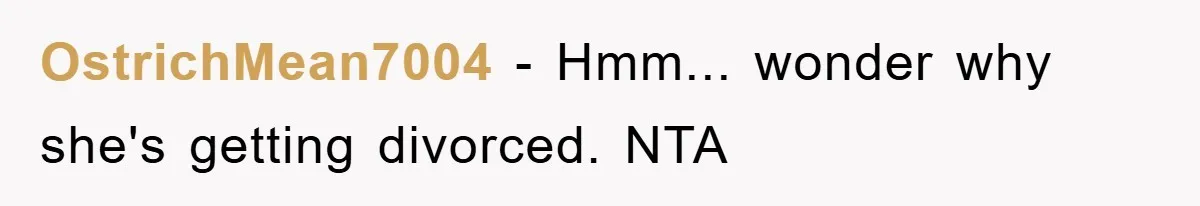 OstrichMean7004 − Hmm... wonder why she's getting divorced. NTA