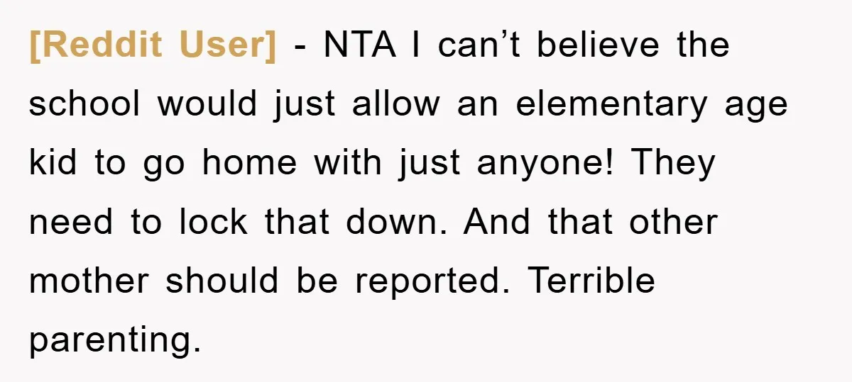 [Reddit User] − NTA I can’t believe the school would just allow an elementary age kid to go home with just anyone! They need to lock that down. And that...
