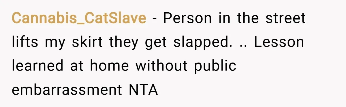 Cannabis_CatSlave − Person in the street lifts my skirt they get slapped. .. Lesson learned at home without public embarrassment NTA