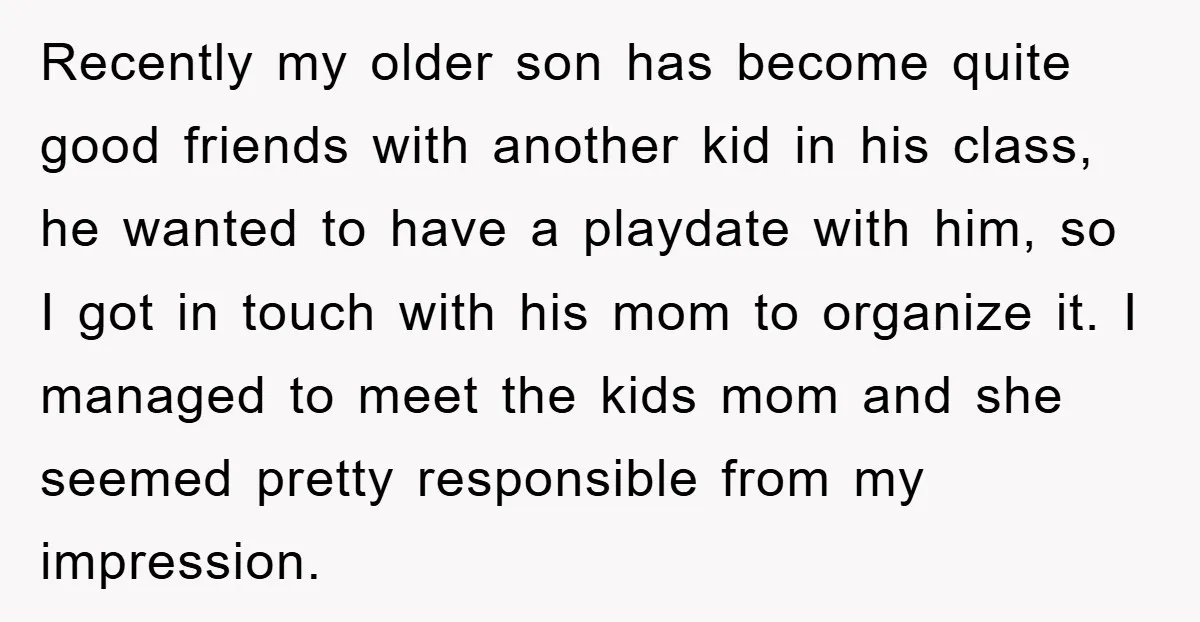 Recently my older son has become quite good friends with another kid in his class, he wanted to have a playdate with him, so I got in touch with his...