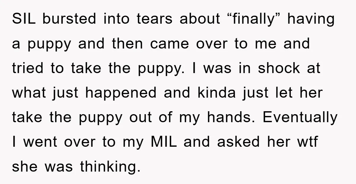 SIL bursted into tears about “finally” having a puppy and then came over to me and tried to take the puppy. I was in shock at what just happened and...