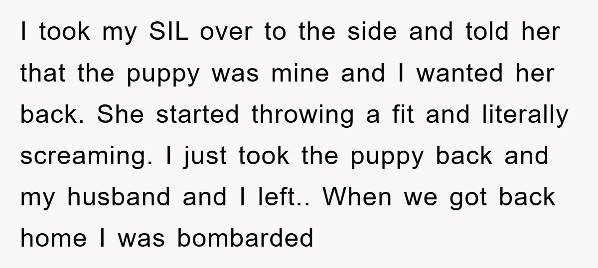 I took my SIL over to the side and told her that the puppy was mine and I wanted her back. She started throwing a fit and literally screaming. I...