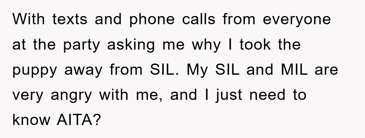 With texts and phone calls from everyone at the party asking me why I took the puppy away from SIL. My SIL and MIL are very angry with me, and...