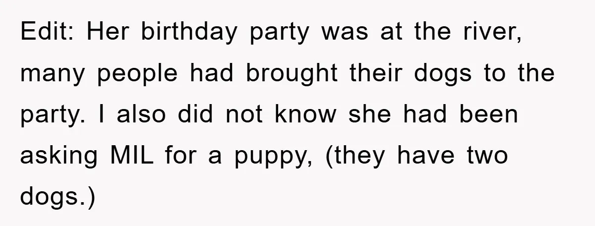 Edit: Her birthday party was at the river, many people had brought their dogs to the party. I also did not know she had been asking MIL for a puppy,...