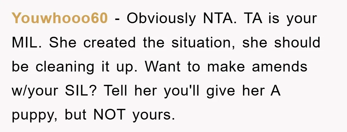 Youwhooo60 − Obviously NTA. TA is your MIL. She created the situation, she should be cleaning it up. Want to make amends w/your SIL? Tell her you'll give her A...
