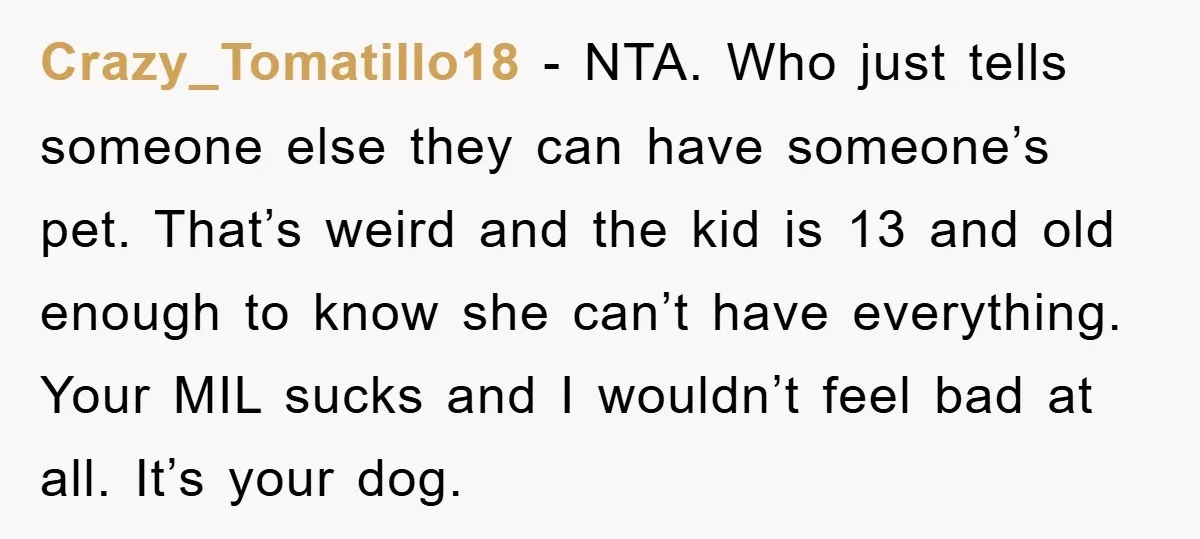 Crazy_Tomatillo18 − NTA. Who just tells someone else they can have someone’s pet. That’s weird and the kid is 13 and old enough to know she can’t have everything. Your...