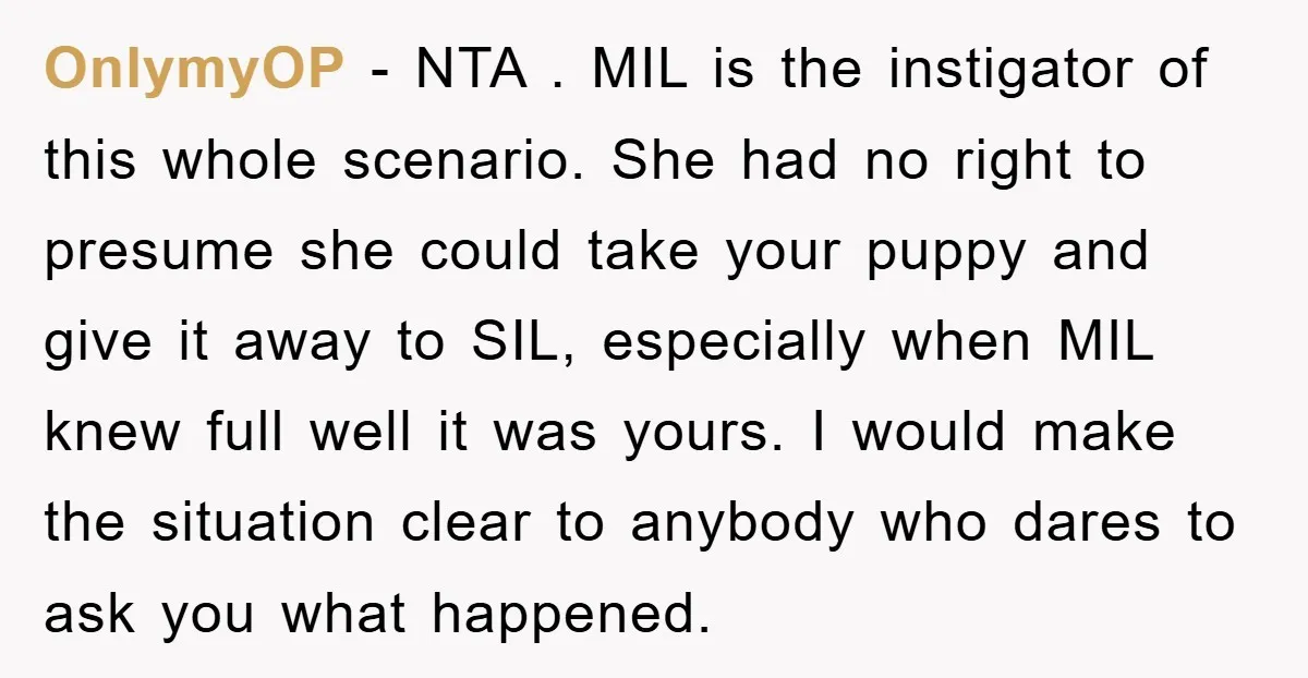 OnlymyOP − NTA . MIL is the instigator of this whole scenario. She had no right to presume she could take your puppy and give it away to SIL, especially...