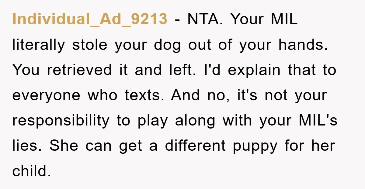 Individual_Ad_9213 − NTA. Your MIL literally stole your dog out of your hands. You retrieved it and left. I'd explain that to everyone who texts. And no, it's not your...