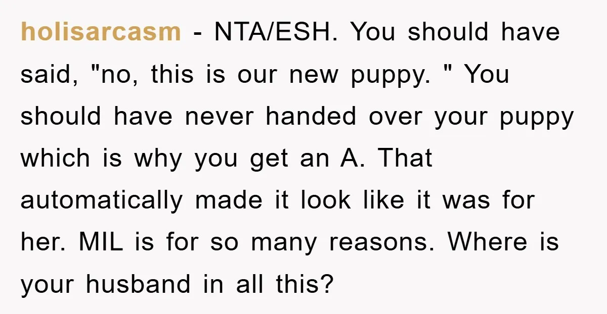 holisarcasm − NTA/ESH. You should have said, "no, this is our new puppy. " You should have never handed over your puppy which is why you get an A. That...