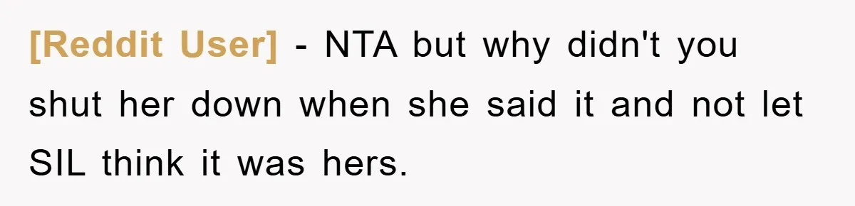 [Reddit User] − NTA but why didn't you shut her down when she said it and not let SIL think it was hers.