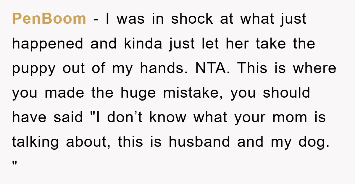 PenBoom − I was in shock at what just happened and kinda just let her take the puppy out of my hands. NTA. This is where you made the huge...