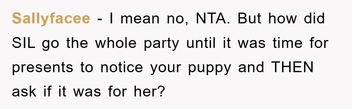 Sallyfacee − I mean no, NTA. But how did SIL go the whole party until it was time for presents to notice your puppy and THEN ask if it was...