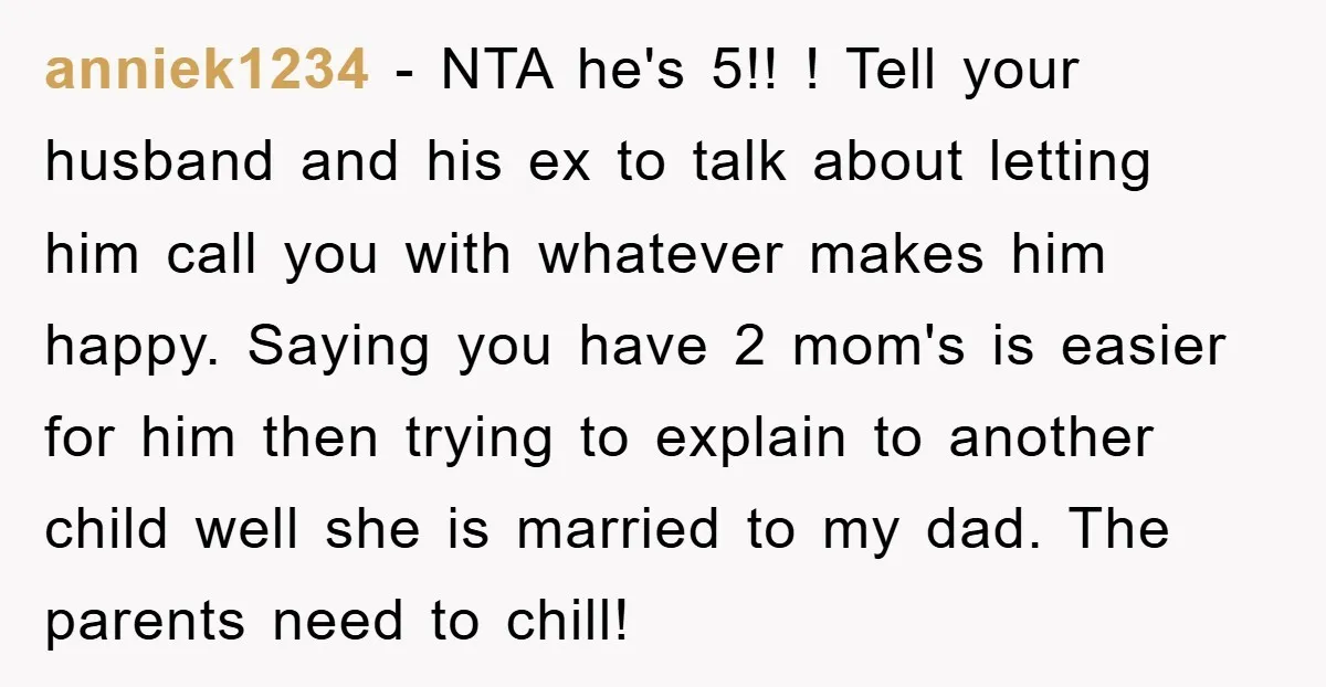 anniek1234 − NTA he's 5!! ! Tell your husband and his ex to talk about letting him call you with whatever makes him happy. Saying you have 2 mom's is...