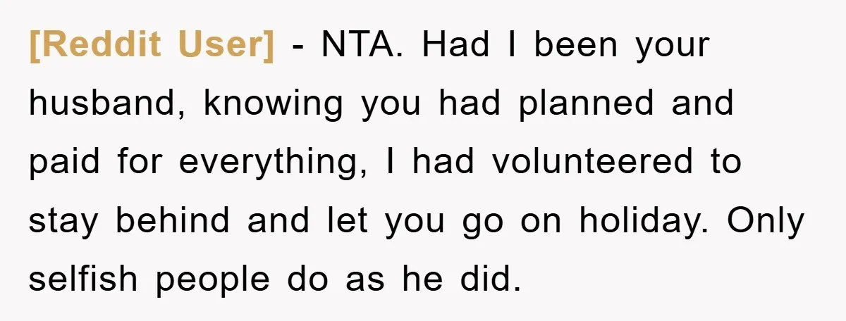 [Reddit User] - NTA. Had I been your husband, knowing you had planned and paid for everything, I had volunteered to stay behind and let you go on holiday. Only...