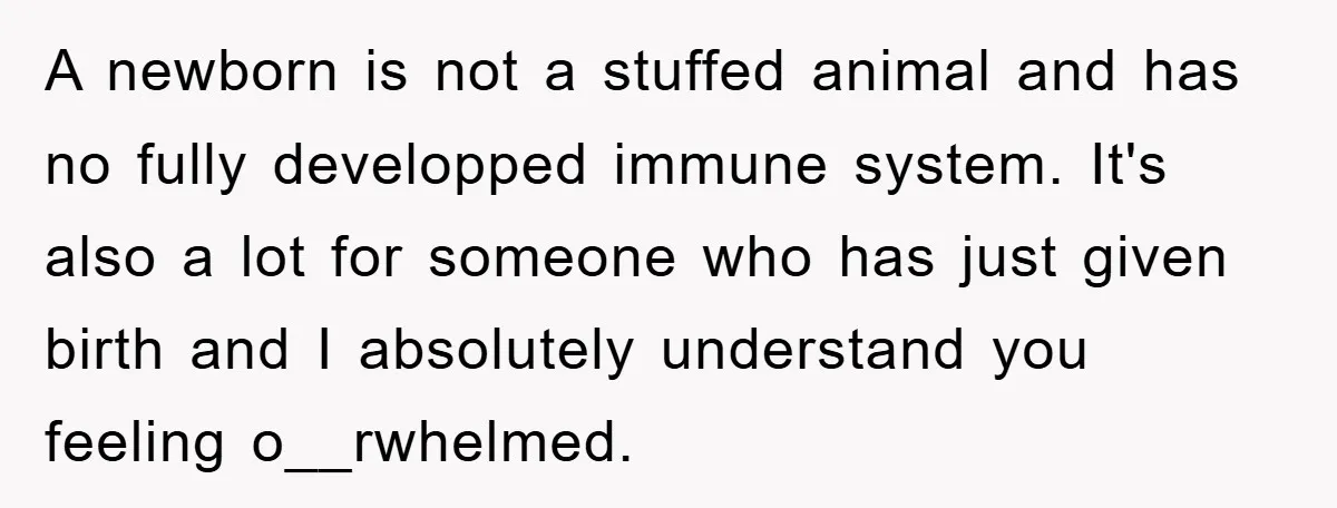 A newborn is not a stuffed animal and has no fully developped immune system. It's also a lot for someone who has just given birth and I absolutely understand you...
