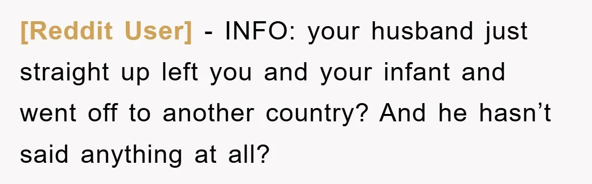 [Reddit User] - INFO: your husband just straight up left you and your infant and went off to another country? And he hasn’t said anything at all?
