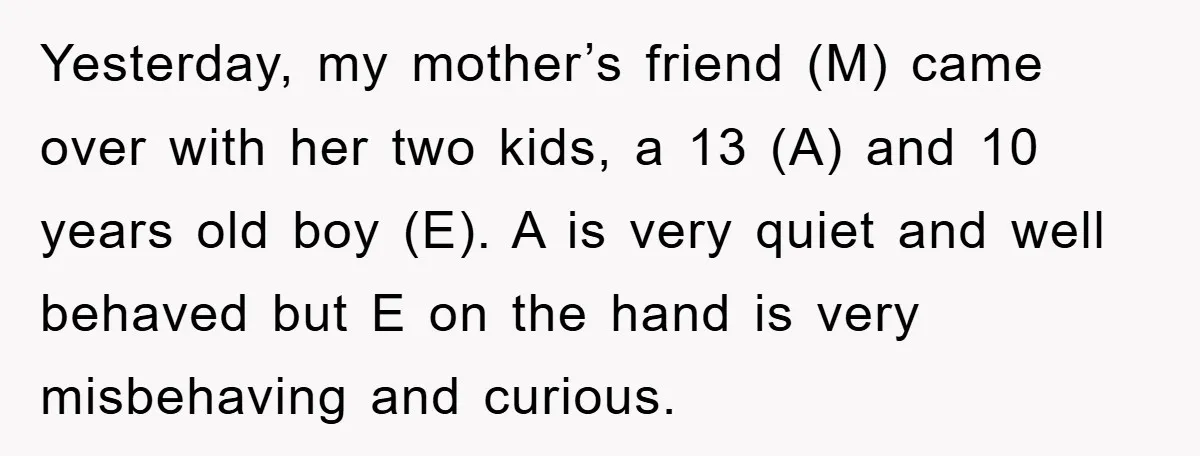 Yesterday, my mother’s friend (M) came over with her two kids, a 13 (A) and 10 years old boy (E). A is very quiet and well behaved but E on...