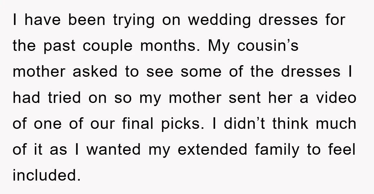 I have been trying on wedding dresses for the past couple months. My cousin’s mother asked to see some of the dresses I had tried on so my mother sent...