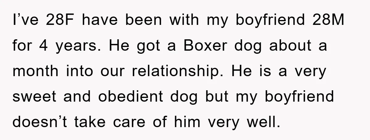 I’ve 28F have been with my boyfriend 28M for 4 years. He got a Boxer dog about a month into our relationship. He is a very sweet and obedient dog...