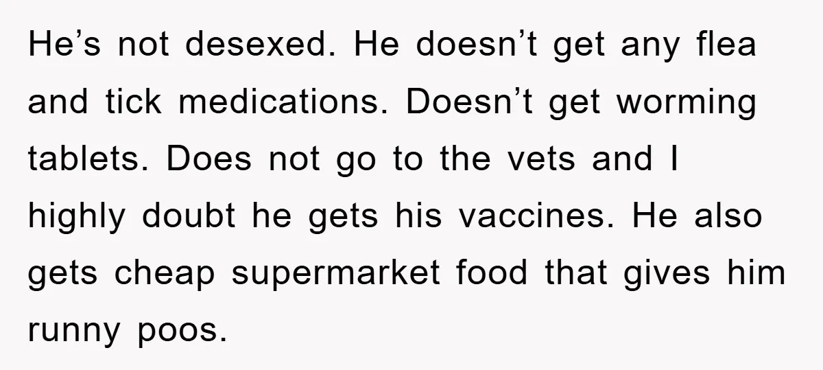 He’s not desexed. He doesn’t get any flea and tick medications. Doesn’t get worming tablets. Does not go to the vets and I highly doubt he gets his vaccines. He...