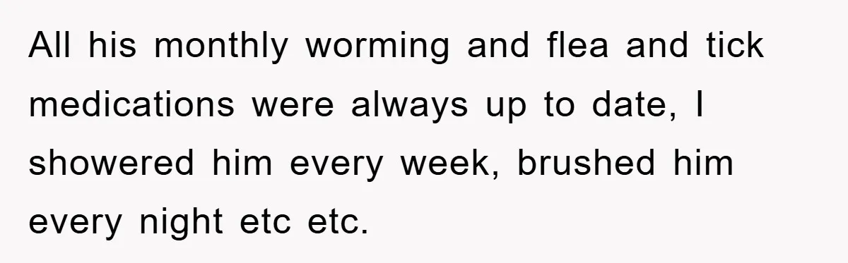 All his monthly worming and flea and tick medications were always up to date, I showered him every week, brushed him every night etc etc.