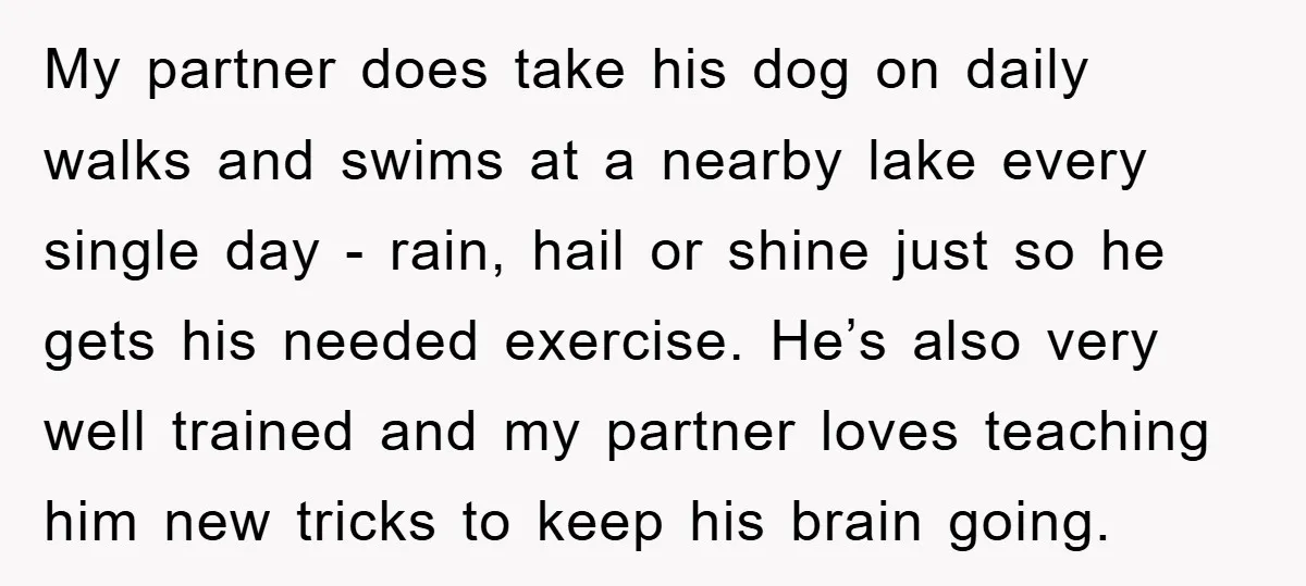 My partner does take his dog on daily walks and swims at a nearby lake every single day - rain, hail or shine just so he gets his needed exercise....