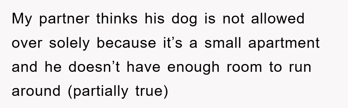 My partner thinks his dog is not allowed over solely because it’s a small apartment and he doesn’t have enough room to run around (partially true)