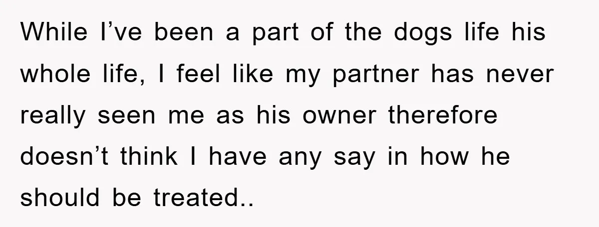While I’ve been a part of the dogs life his whole life, I feel like my partner has never really seen me as his owner therefore doesn’t think I have...